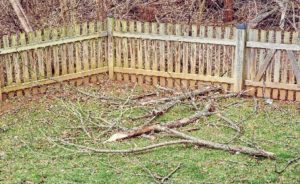 yard waste storm debris cleanup