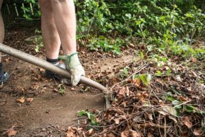 Dumpster-Rental-for-Fall-Clean-up-Projects_Sunshine_Disposal - Image-from-Adobe Stock341974524